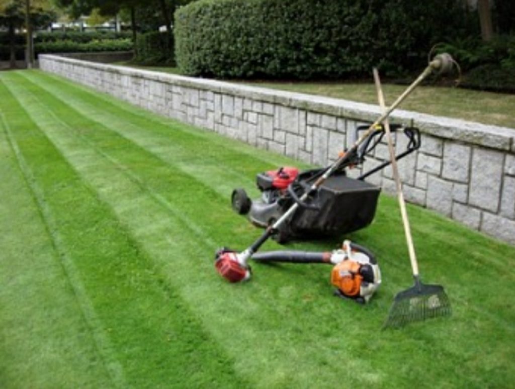 How to Reseed your Lawn in the Spring Farm & Home Supply, INC